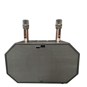 Loa xách tay SM-20 Bass 25