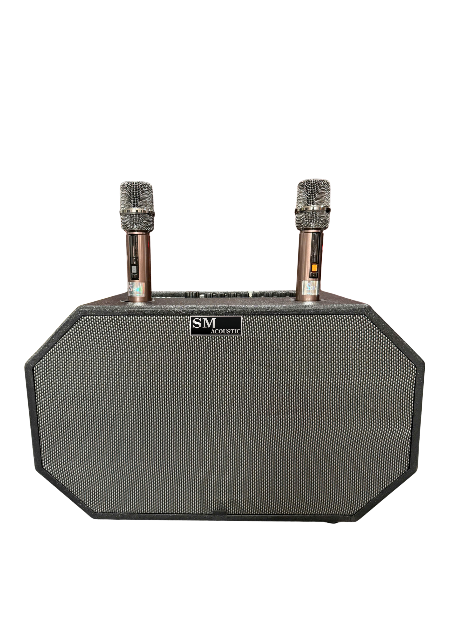 Loa xách tay SM-20 Bass 25