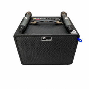 Loa Xách Tay V215G Bass 20